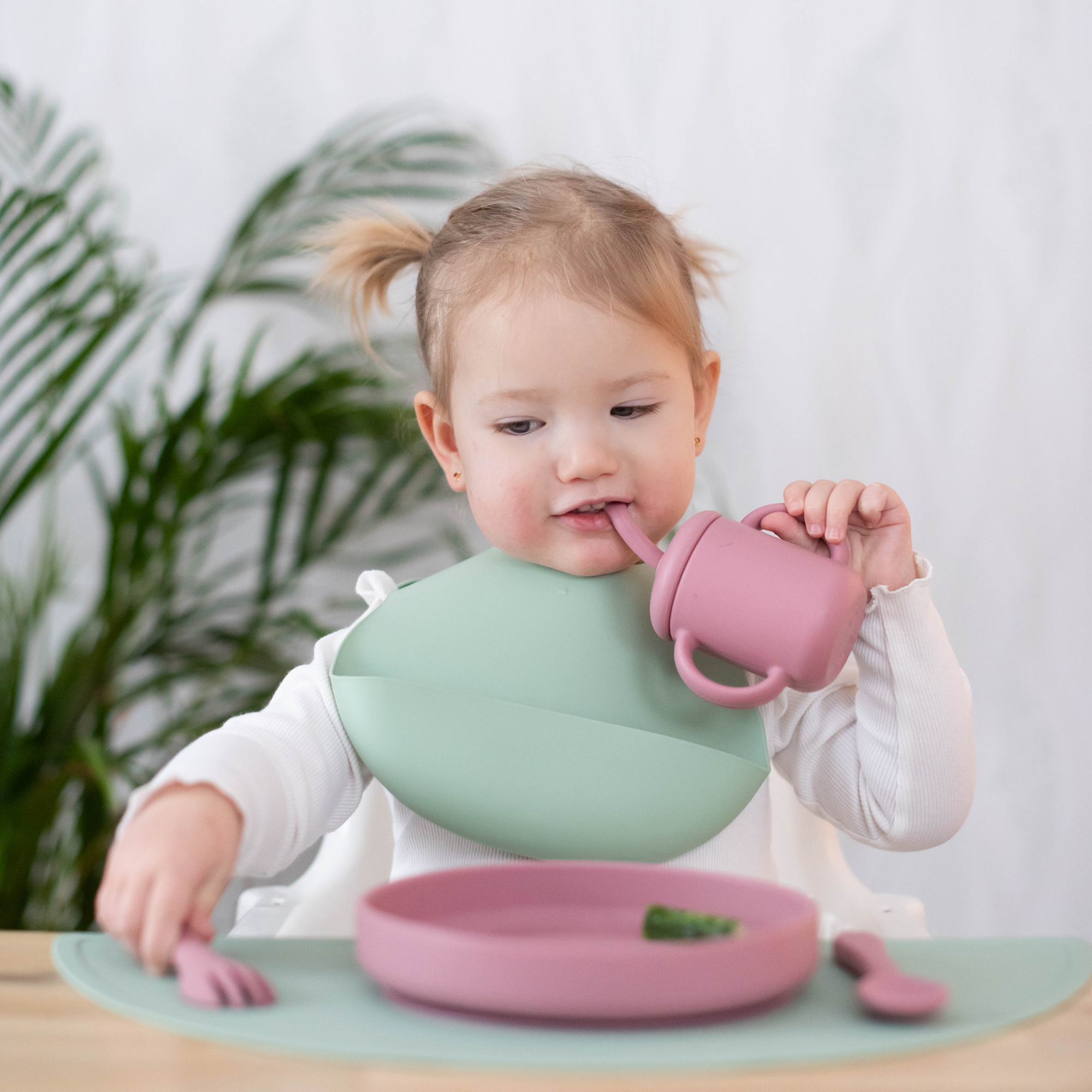 Spoon and fork silicone dusty rose Summerville organic