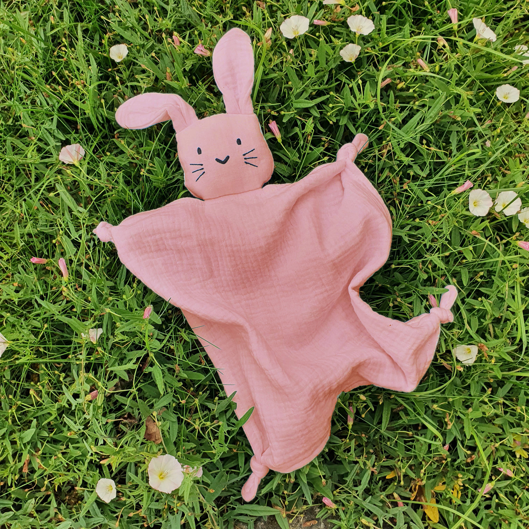 Cuddly rabbit rose Summerville organic