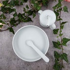 Plate and spoon silicone silver grey