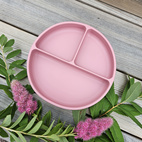 Plate divided silicone dusty rose