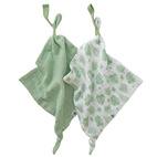 Pacifier cloth 2-pack tropical green GOTS