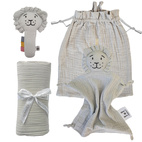 Presentset: Lion silver grey