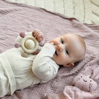 Bitleksak karusell rose