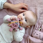 Orbit aktivitetsleksak dusty rose