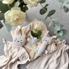 Presentset: Rabbit sandshell