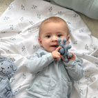 Teether toy circus dusty blue
